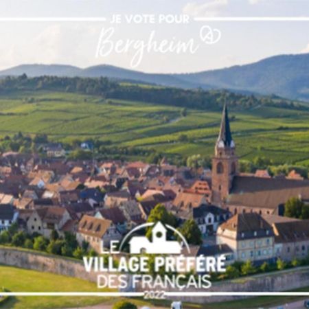 Апартаменты Vue Splendide Au Coeur Des Vignes Бергхейм Экстерьер фото