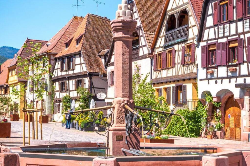 Апартаменты Vue Splendide Au Coeur Des Vignes Бергхейм Экстерьер фото