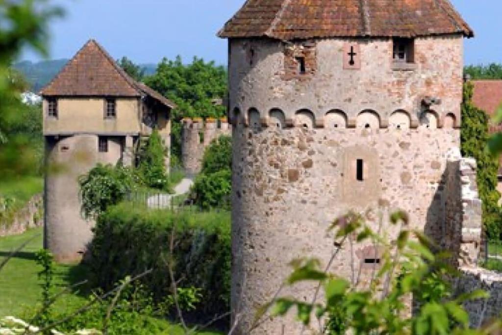 Апартаменты Vue Splendide Au Coeur Des Vignes Бергхейм Экстерьер фото